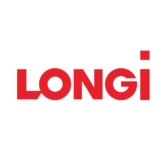 Longi Solar Panels